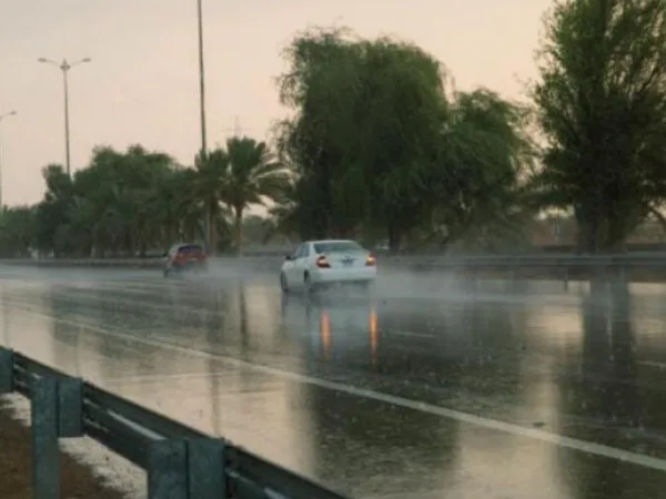 UAE : यातायात नियमों का उल्लंघन को माफ करने की घोषणा, वाहन चालकों को सुनाई गई खुशखबरी