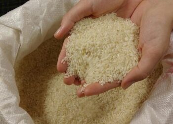 Big sack of white rice