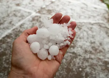 Late May thunderstorms left behind shredded trees and plants and tons of hail stones, much of it stacking up like snow and many stones being quarter sized  as well as pea sized, much of it covering the sidewalk in the background.