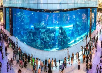 दुबई के प्रमुख मॉल्स ने अब नया पेड पार्किंग सिस्टम किया लागू, जानिए कैसे बच सकते हैं जुर्माने से