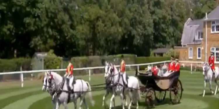 शाही जुलूस में शामिल हुए सऊदी के प्रिंस फैसल बिन सलमान