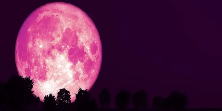 बुधवार की रात UAE के आसमान दिखेगा स्टॉबेरी मून, अगली बार 2043 में देखने को मिलेगा नजारा