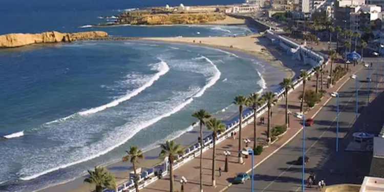 प्रतिभाशाली छात्रों के लिए सऊदी में खुलेंगे 5 नए टेक्नोलॉजी हाई स्कूल