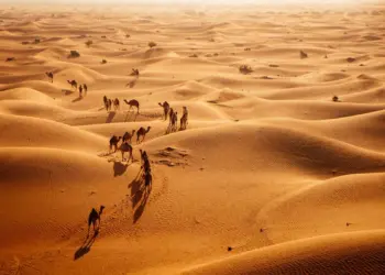 सऊदी अरब में 95% हिस्सा रेगिस्तान है, फिर भी वह ऑस्ट्रेलिया, चीन और बेल्जियम जैसे देशों से क्यों मंगवाता है रेत?