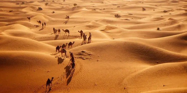 सऊदी अरब में 95% हिस्सा रेगिस्तान है, फिर भी वह ऑस्ट्रेलिया, चीन और बेल्जियम जैसे देशों से क्यों मंगवाता है रेत?