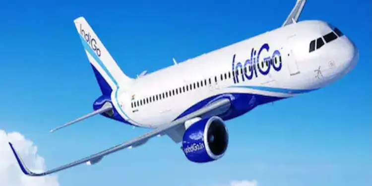 सऊदी के शख्स का IndiGo और ट्रैवल एजेंसी पर फूटा गुस्सा, लगाया लापरवाही का आरोप