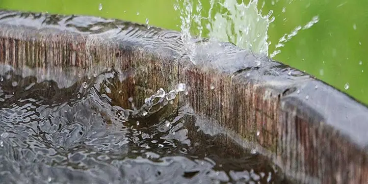 सऊदी अरब जल्द बनाने वाला है 1,000 वर्षा जल संग्रहण बांध, इसमें सालाना जमा होगा 4 मिलियन क्यूबिक मीटर पानी