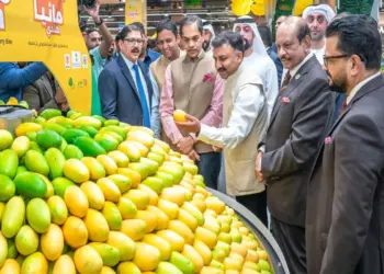 अबू धाबी में यूपी, बिहार और बंगाल के आमों का जलवा