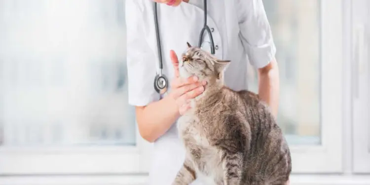 बहरीन ने पशु चिकित्सा दवाओं के लिए नया राष्ट्रीय गाइड लॉन्च किया