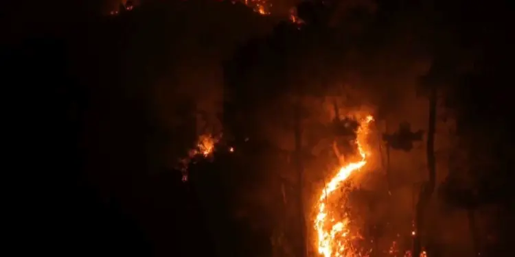 लताकिया जंगलों में आग के बाद बहरीन ने सीरिया के प्रति एकजुटता व्यक्त की