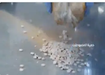 सऊदी अरब में भेड़ की ऊन में छिपाई गई 4 लाख से ज्यादा नशीली गोलियां बरामद