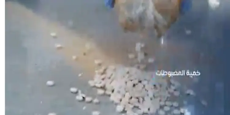 सऊदी अरब में भेड़ की ऊन में छिपाई गई 4 लाख से ज्यादा नशीली गोलियां बरामद