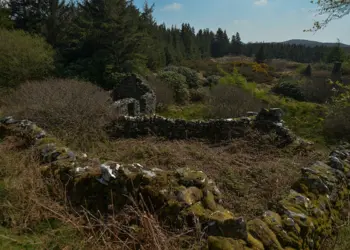 आयरलैंड में बढ़ते हमलों के बाद भारतीय दूतावास ने भारतीय नागरिकों के लिए जारी की सुरक्षा सलाह