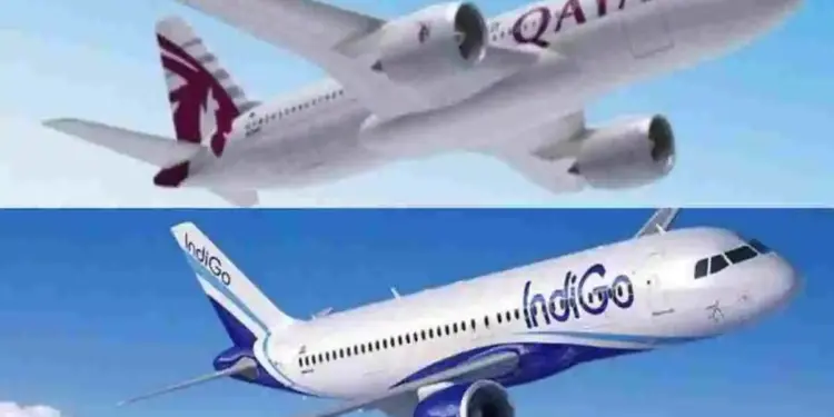 IndiGo और Qatar Airways में सेवा की बड़ी खामियां, लैंडिंग के बाद गायब हो रहे हैं यात्रियों के बैग्स