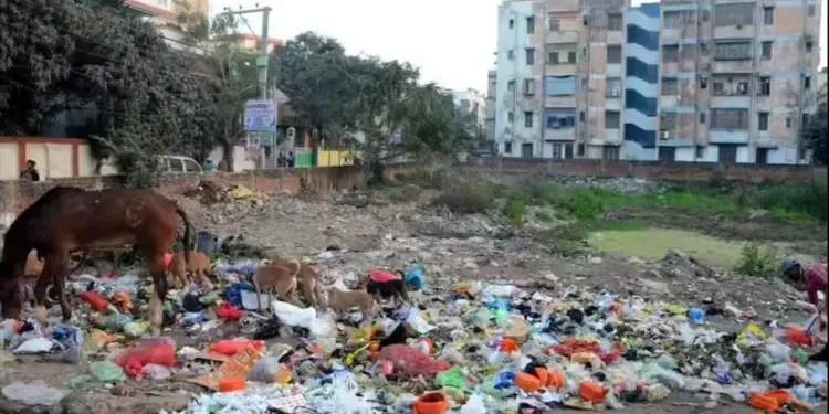 कुवैत में सार्वजनिक स्थलों पर बचा हुआ खाना फेंकने से लगेगा भारी जुर्माना