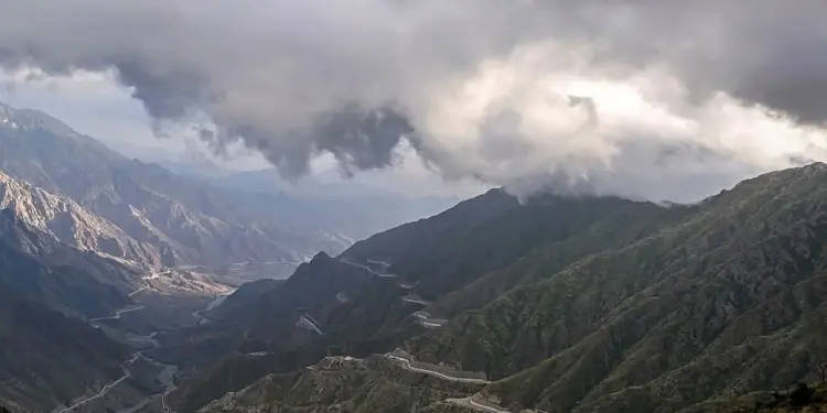 सऊदी अरब में पहाड़ियों पर छाया घना कोहरा, प्राकृतिक सुंदरता में लगे चार चांद