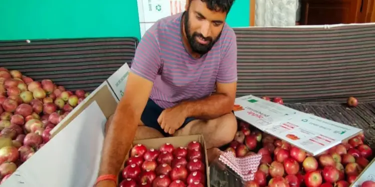 पहली बार गढ़वाल के सेब ‘किंग रोअट’ ने किया यूएई का सफर, भेजी गई 1.2 मीट्रिक टन खेप