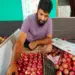 पहली बार गढ़वाल के सेब ‘किंग रोअट’ ने किया यूएई का सफर, भेजी गई 1.2 मीट्रिक टन खेप