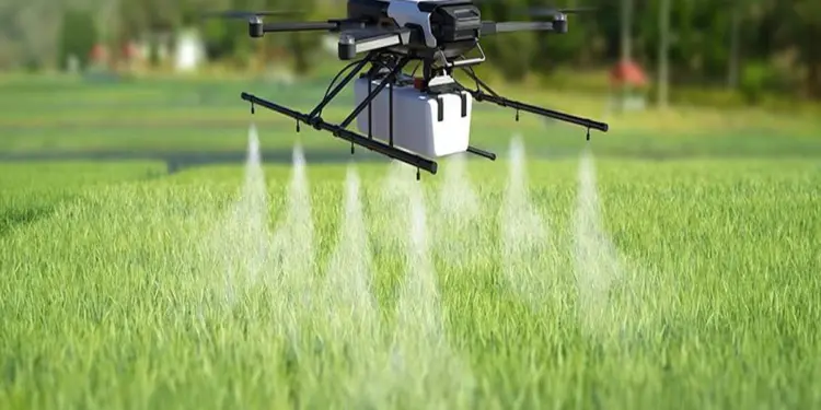 कृषि और खाद्य सुरक्षा क्षेत्र में AI प्रमाणन पाने वाला UAE का पहला संगठन बना ADAFSA