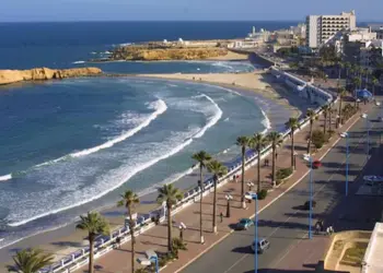 सऊदी अरब में प्रीमियम रेजिडेंसी के लिए दुनियाभर से 40 हजार से अधिक लोगों ने किया आवेदन