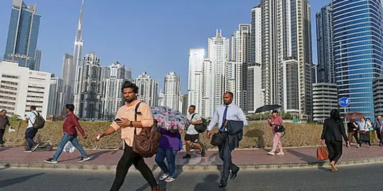 यूएई में नौकरी छूटने पर ILOE बेरोज़गारी स्कीम के तहत किन कर्मचारियों को मिलेगा मुआवजा, यहां मिलेगी पूरी जानकारी