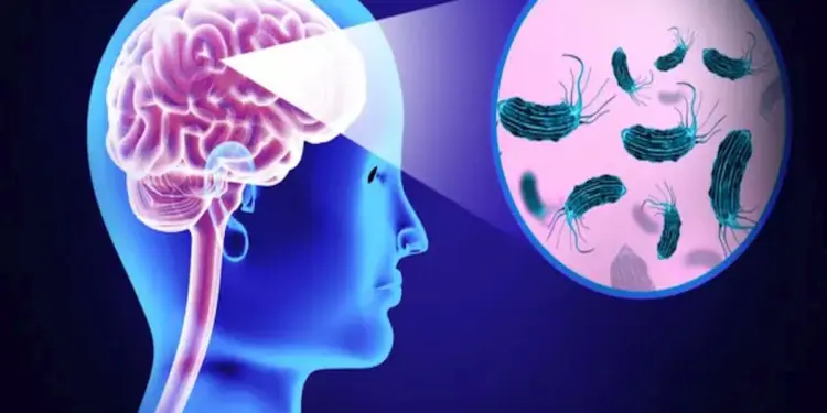 केरल में घातक बीमारी “ब्रेन-ईटिंग” से 19 लोगों की हुई मौत, सरकार की बढ़ी परेशानी