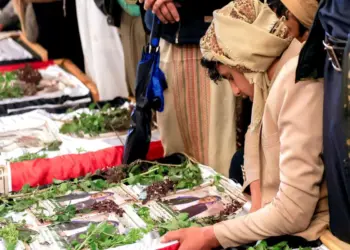 इजरायली हमले में यमन के 31 पत्रकारों की मौत, 22 बुरी तरह से घायल