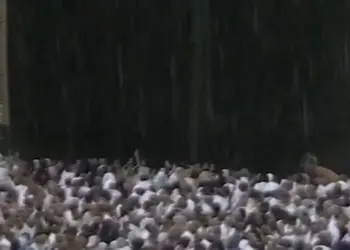 मक्का की ग्रैंड मस्जिद में भारी बारिश के बीच मनाया गया सऊदी का राष्ट्रीय दिवस