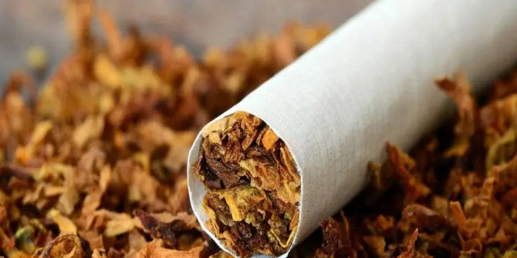 सऊदी में स्कूलों और मस्जिदों के पास तंबाकू की दुकाने चलाने पर लगा प्रतिबंध